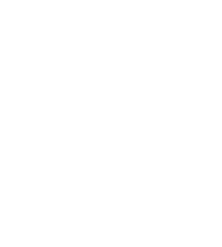 Audio Ace logo