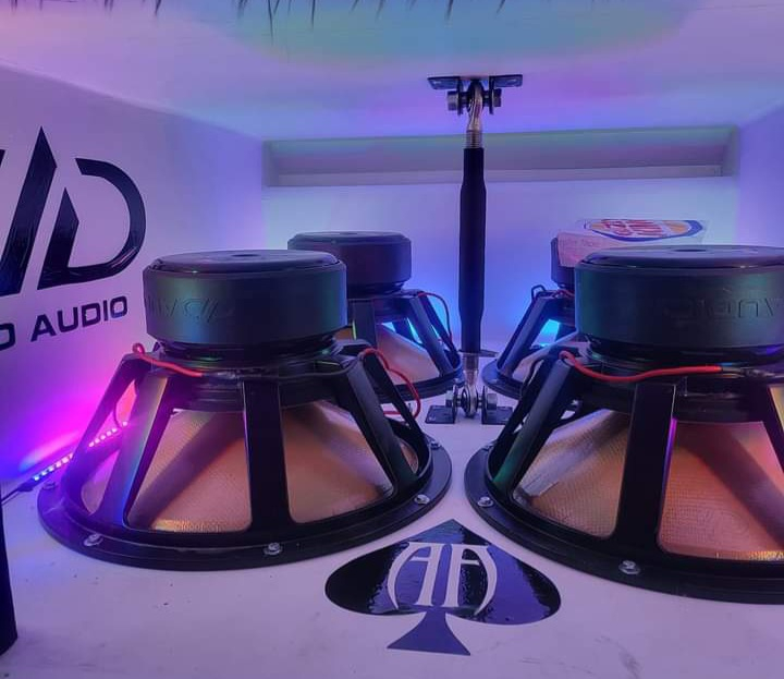 Close-up shot of car speaker with Audio Ace logo